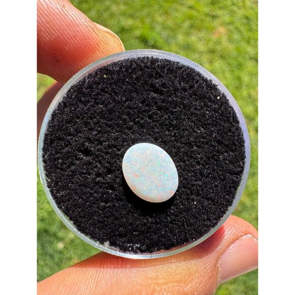 Australian Opal Cabochon - 0.90 carat in Display Box #174 - Picture 3 of 9